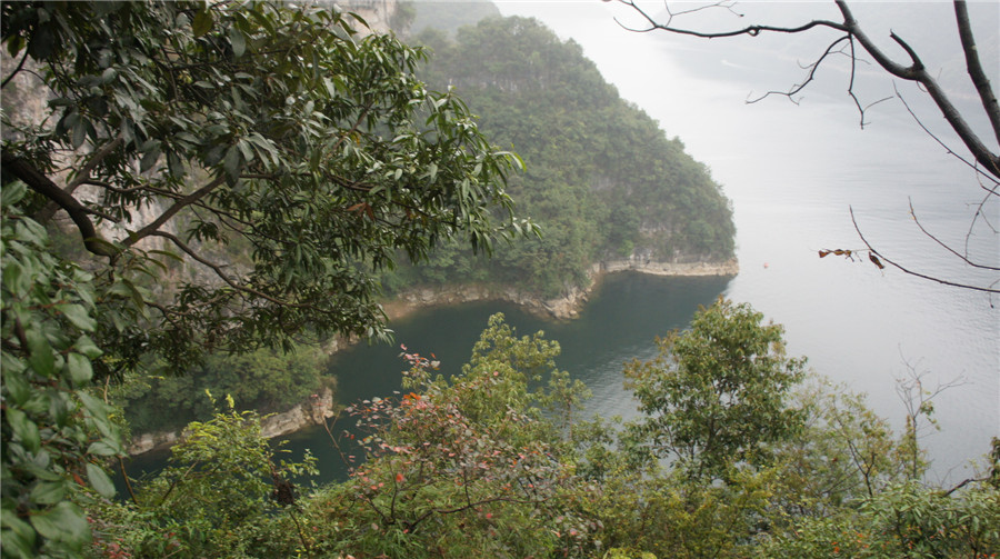 dsc03403_.jpg