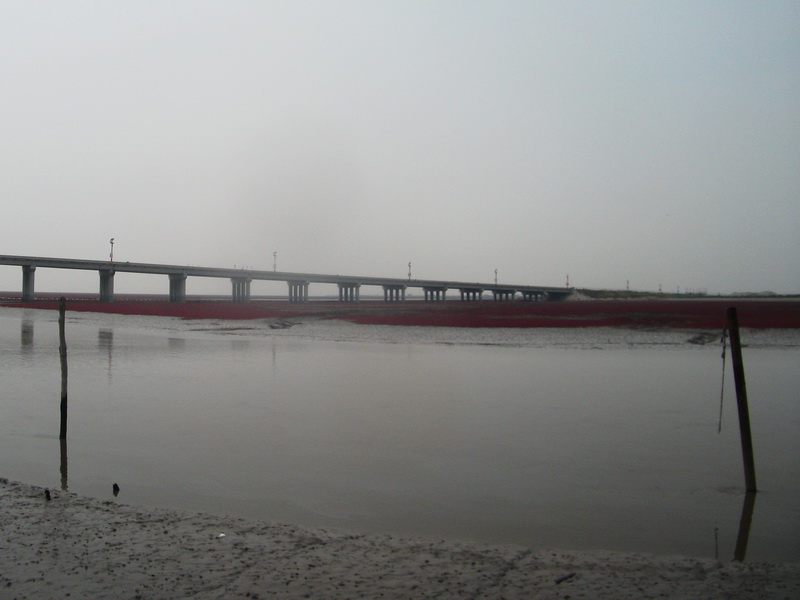 dscf0050.jpg