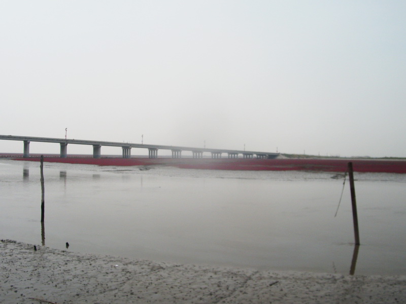 dscf0054.jpg