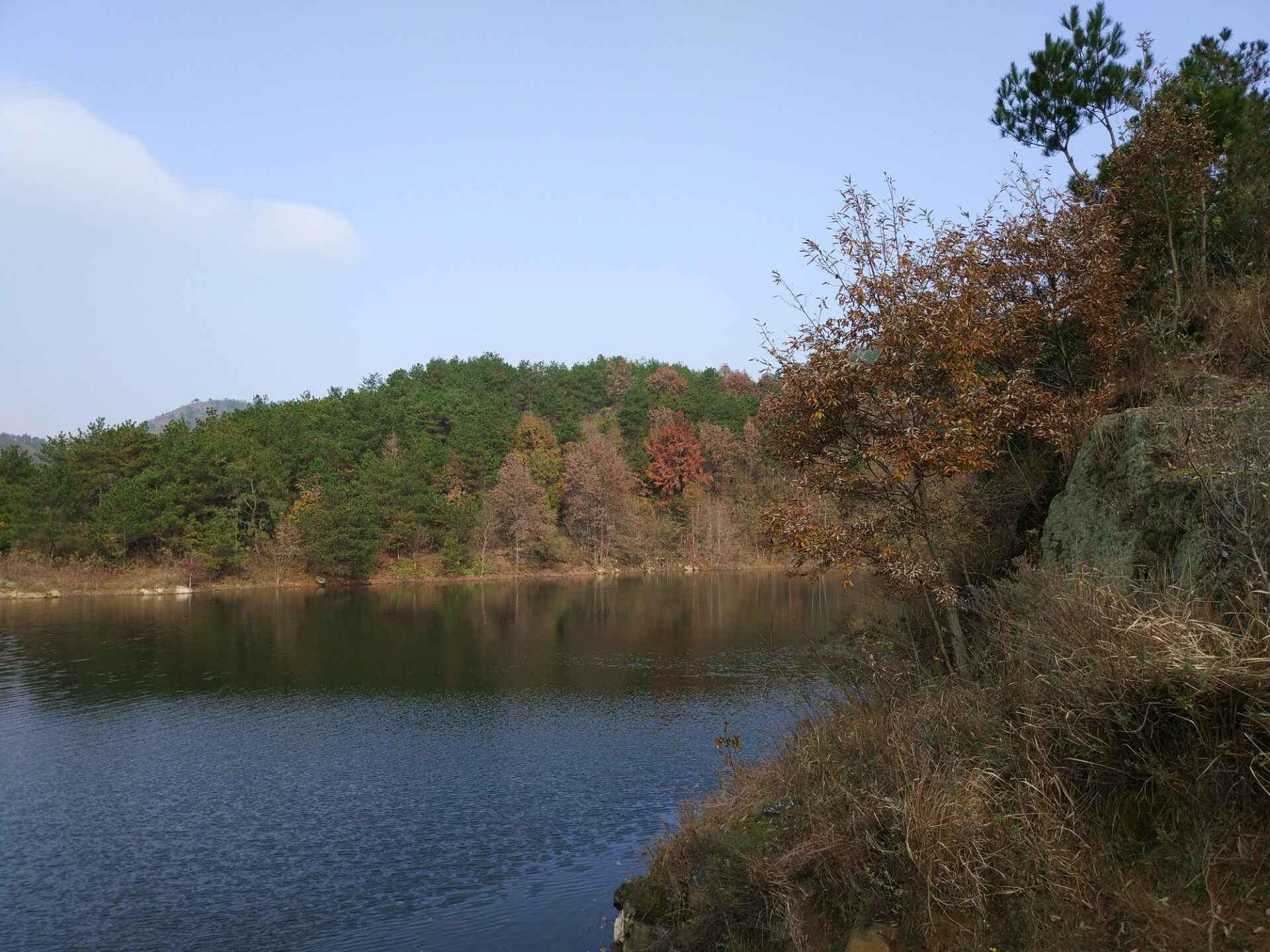 qqͼƬ20161121195130.jpg