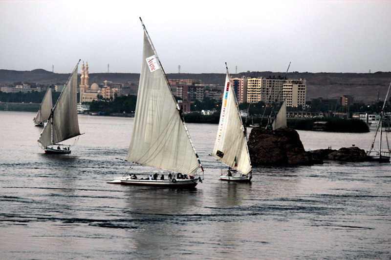 img_4420.jpg