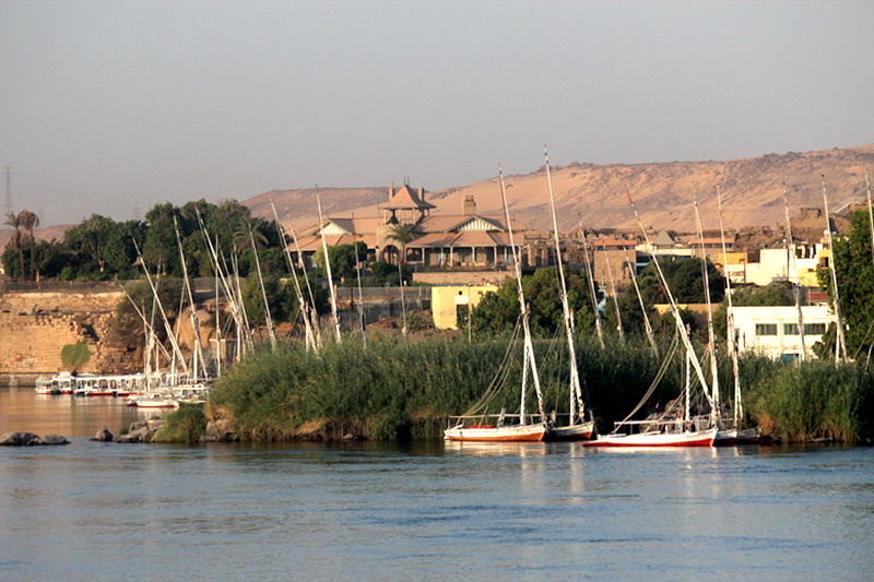 img_4445.jpg