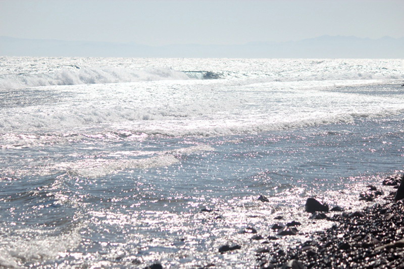 img_5424.jpg