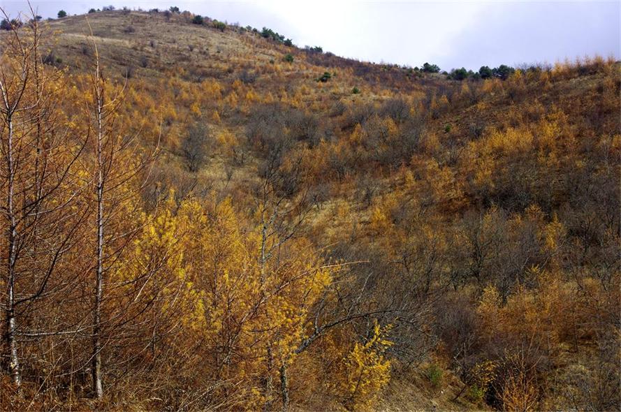 _igp8732_.jpg