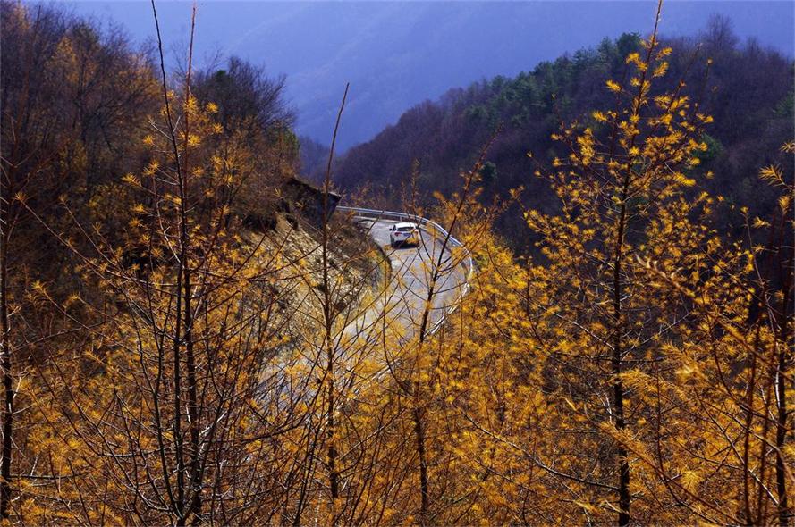 _igp8731.jpg
