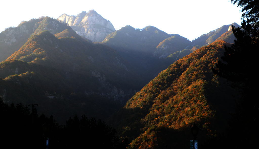 img_9572_副本_副本.jpg