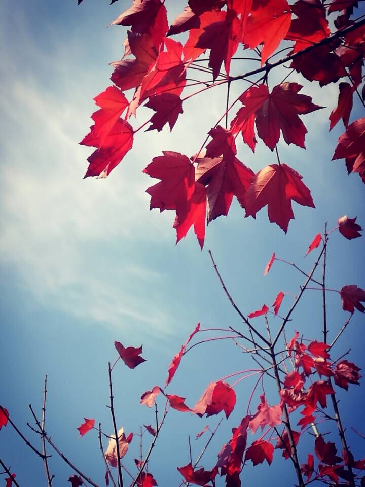 qqͼƬ20161128130118.jpg
