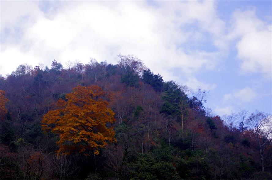 _igp8935.jpg