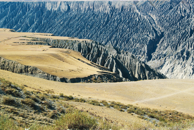 ce6i7055_.jpg