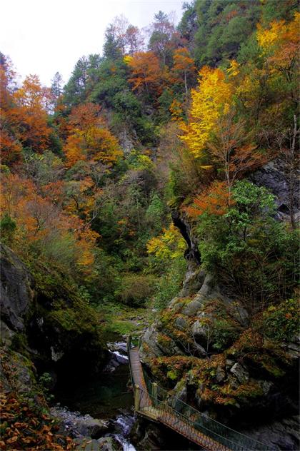 _igp9040.jpg
