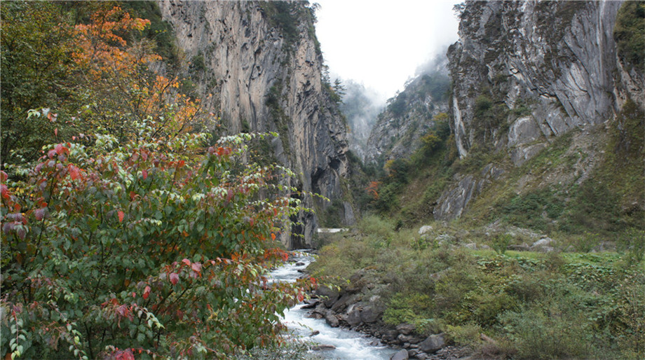 dsc05668_.jpg