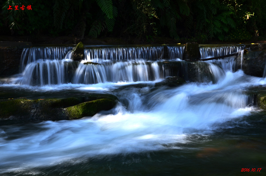 dsc_0283.jpg