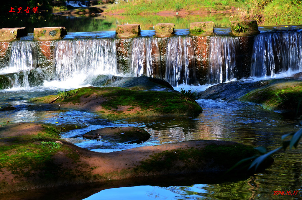 dsc_0266.jpg