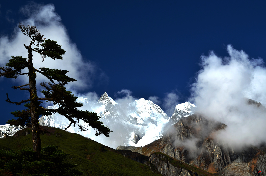 dsc_0663.jpg