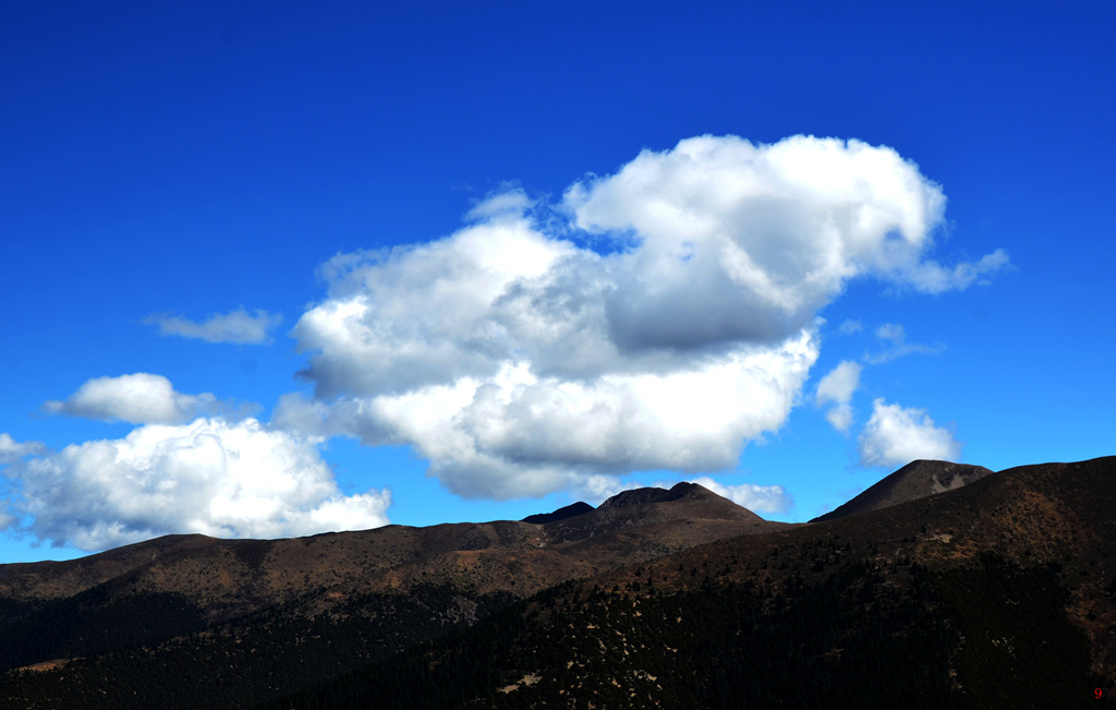dsc_0936.jpg