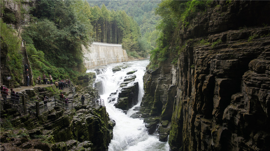 dsc03413_.jpg