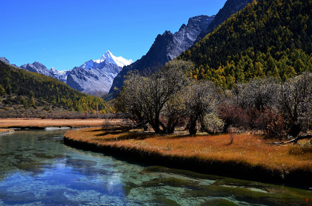 dsc_1136.jpg