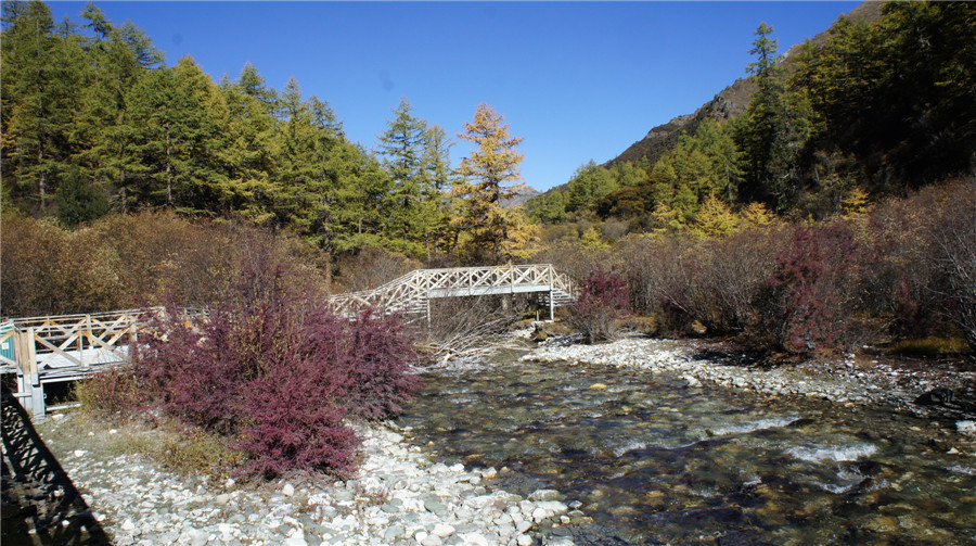 dsc04690_.jpg