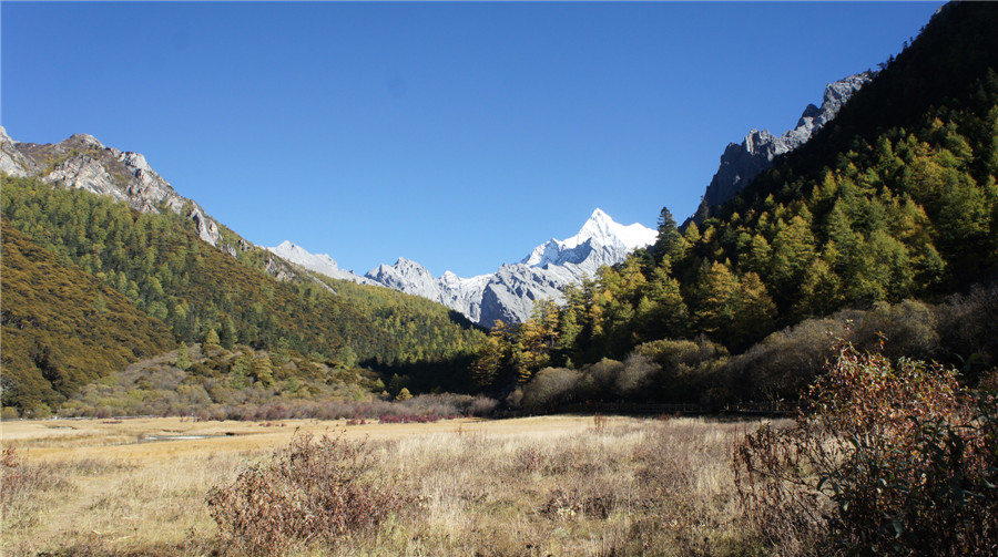 dsc04584_.jpg