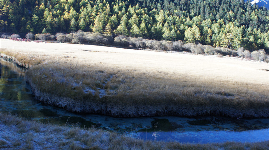 dsc04605_.jpg