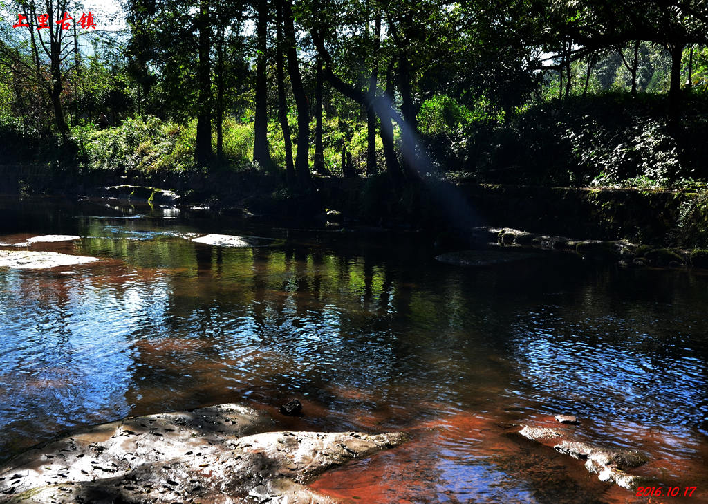 dsc_0248.jpg