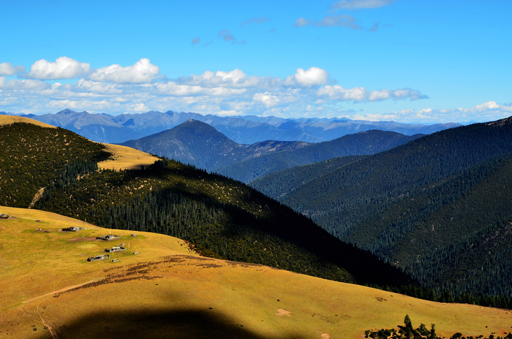 dsc_0930.jpg