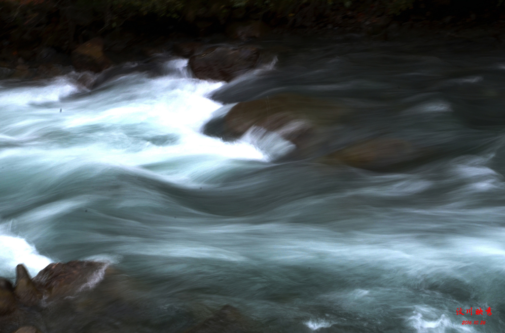 dsc_2811.jpg