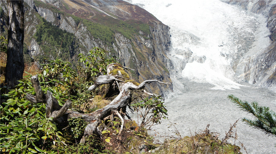 dsc03912_.jpg