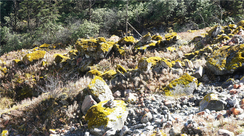 dsc03952__.jpg