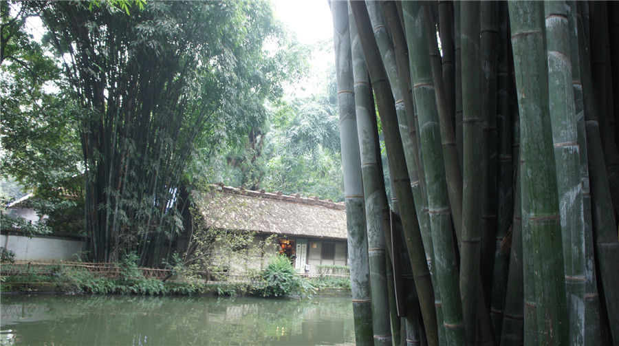 dsc03613_.jpg