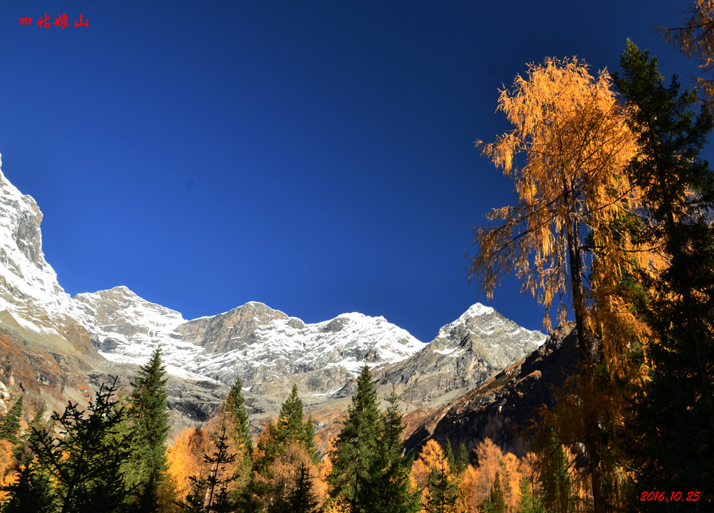 dsc_2261.jpg