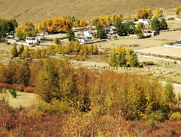 -7a2eda3123419655.jpg