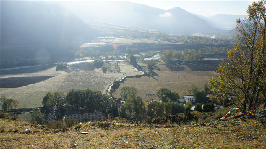 dsc04184_副本.jpg