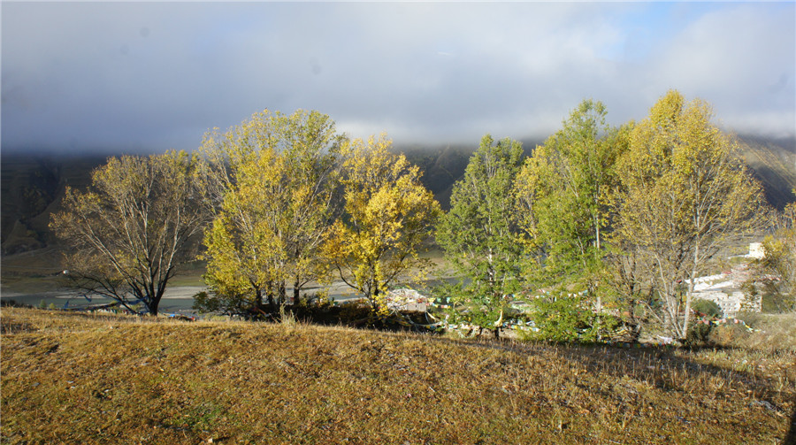 dsc04182_.jpg