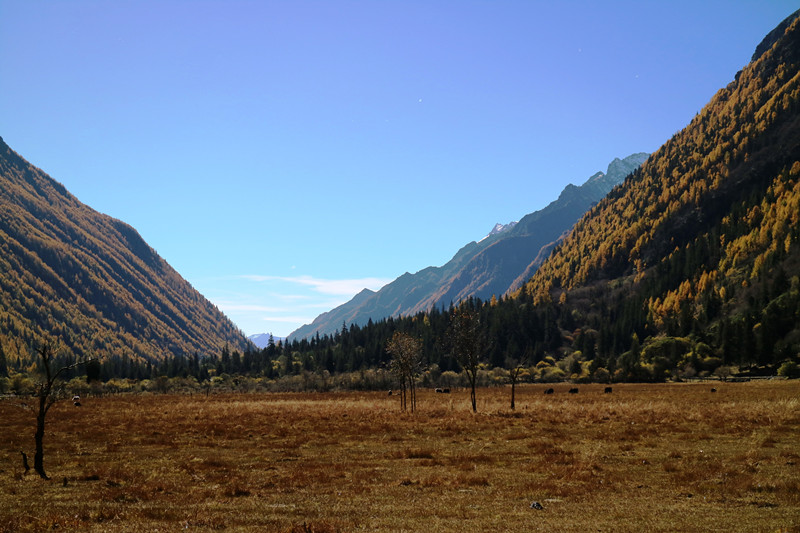 img_5290_副本.jpg