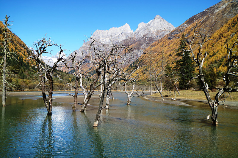 img_5301_副本.jpg