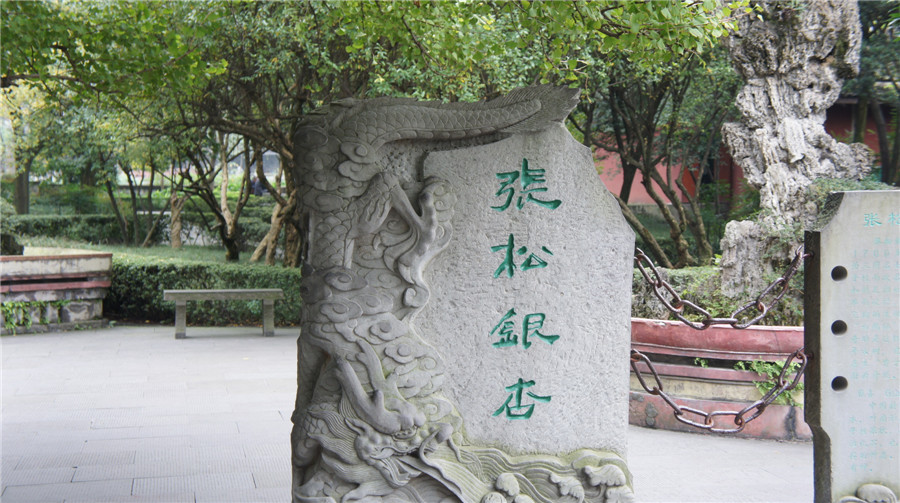 dsc05728_.jpg