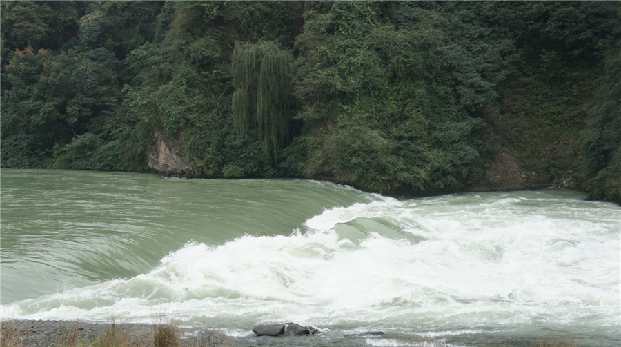 dsc05755_.jpg
