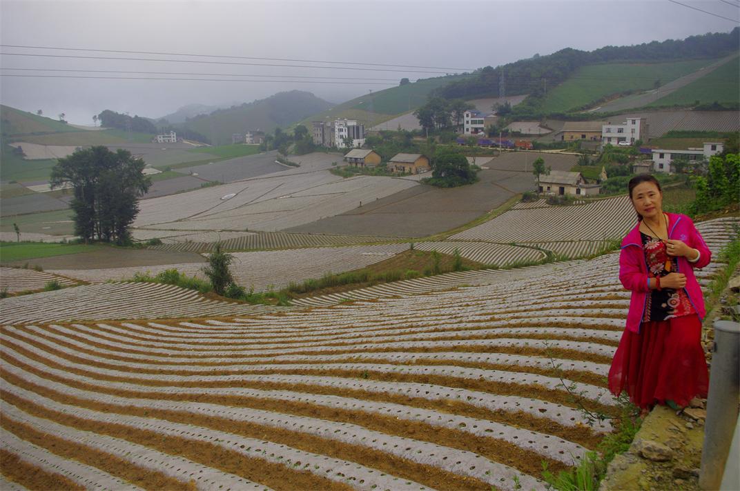_igp7811.jpg