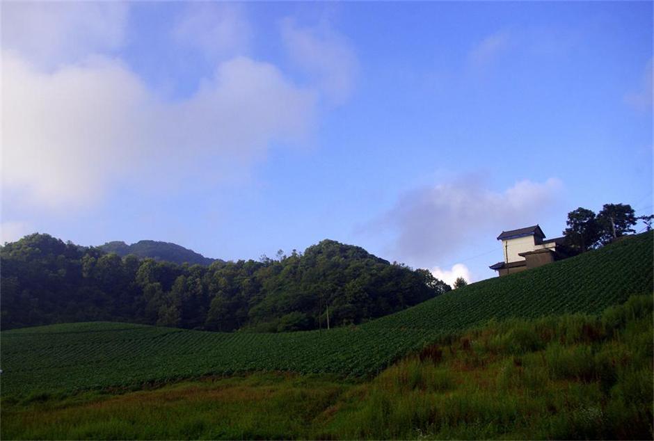 _igp7819.jpg
