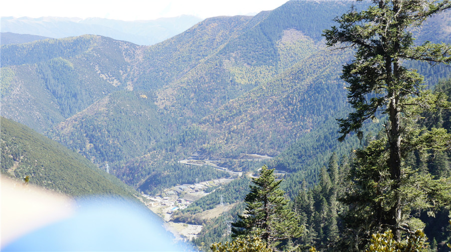 dsc04848_副本.jpg