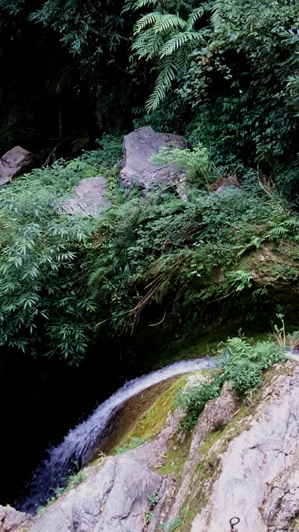 20161005_100355_.jpg