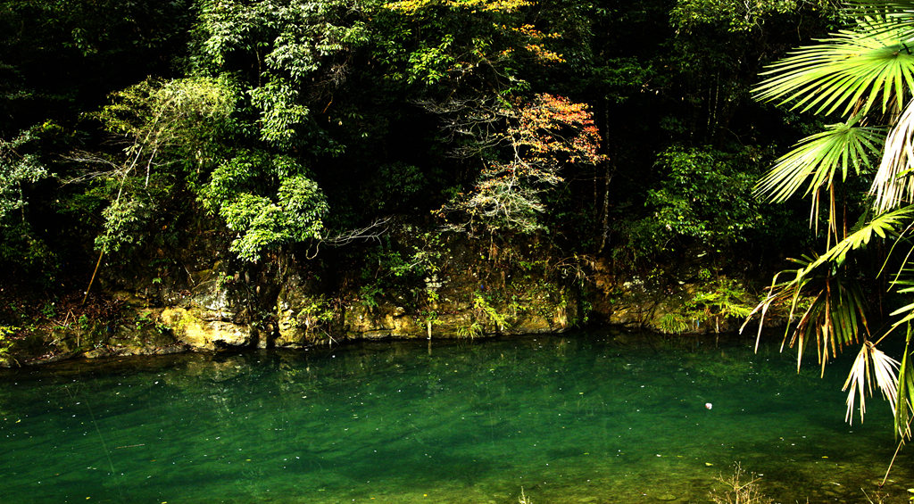 _mg_0208__.jpg