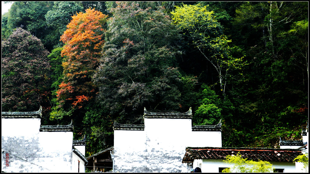 _mg_0215__.jpg