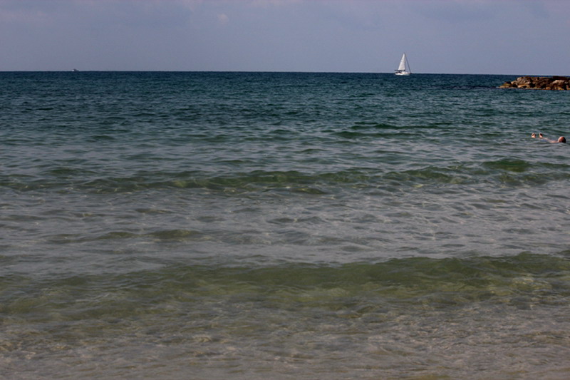 img_6884.jpg