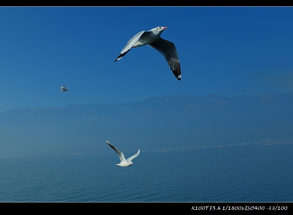 dscf2210.jpg
