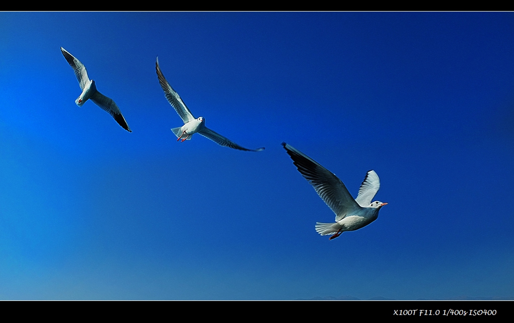 dscf2225.jpg