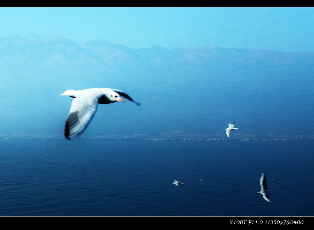 dscf2230.jpg
