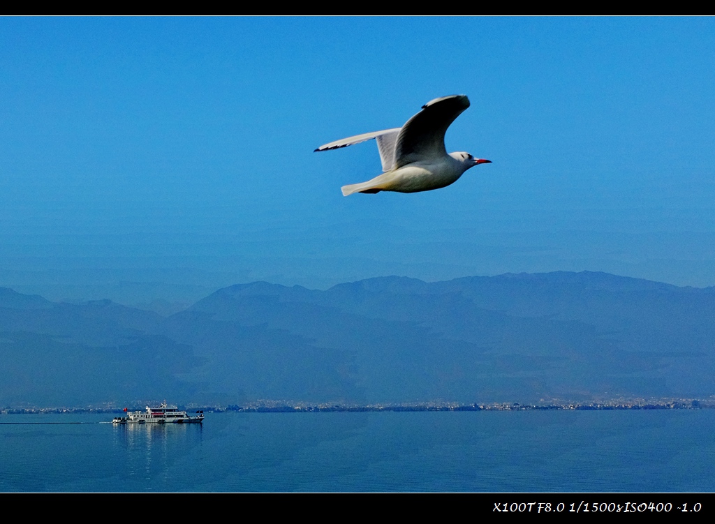 dscf2288.jpg