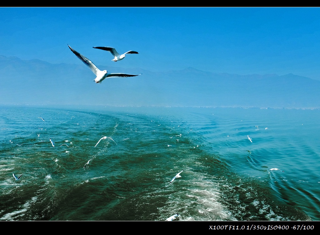 dscf2241-a.jpg